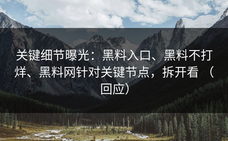 关键细节曝光：黑料入口、黑料不打烊、黑料网针对关键节点，拆开看 （回应）