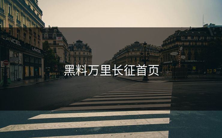 黑料万里长征首页