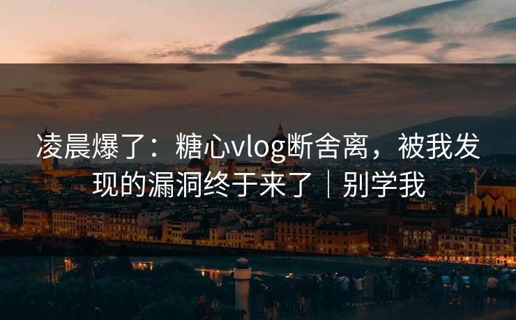 凌晨爆了：糖心vlog断舍离，被我发现的漏洞终于来了｜别学我