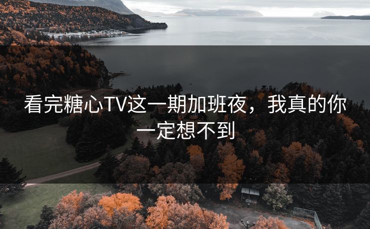 看完糖心TV这一期加班夜，我真的你一定想不到