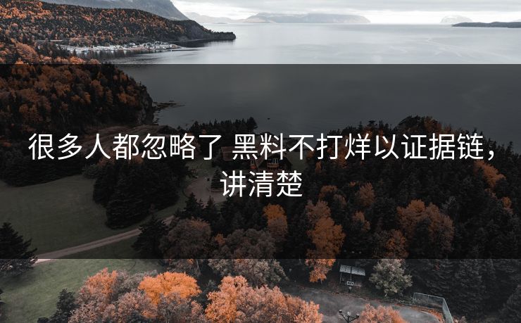 很多人都忽略了 黑料不打烊以证据链，讲清楚