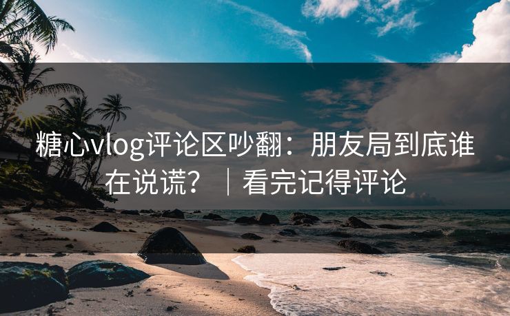 糖心vlog评论区吵翻：朋友局到底谁在说谎？｜看完记得评论