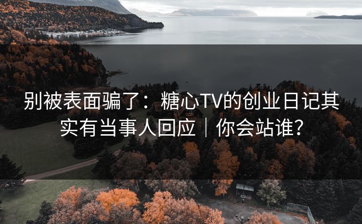 别被表面骗了：糖心TV的创业日记其实有当事人回应｜你会站谁？