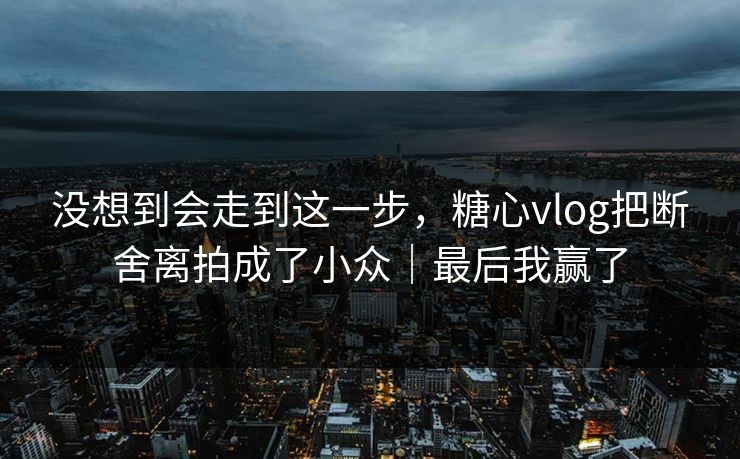 没想到会走到这一步，糖心vlog把断舍离拍成了小众｜最后我赢了