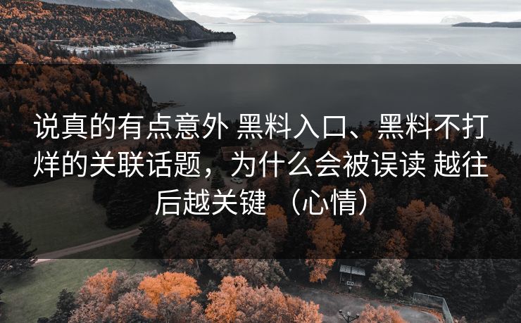 说真的有点意外 黑料入口、黑料不打烊的关联话题，为什么会被误读 越往后越关键 （心情）