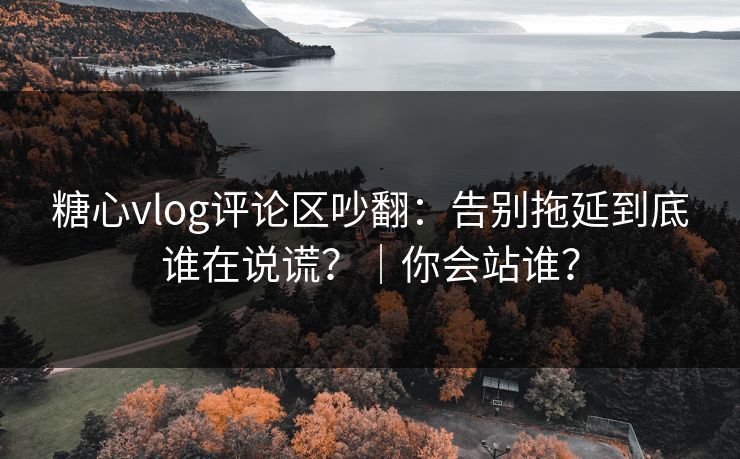 糖心vlog评论区吵翻：告别拖延到底谁在说谎？｜你会站谁？