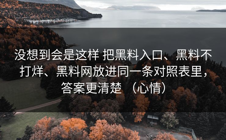 没想到会是这样 把黑料入口、黑料不打烊、黑料网放进同一条对照表里，答案更清楚 （心情）