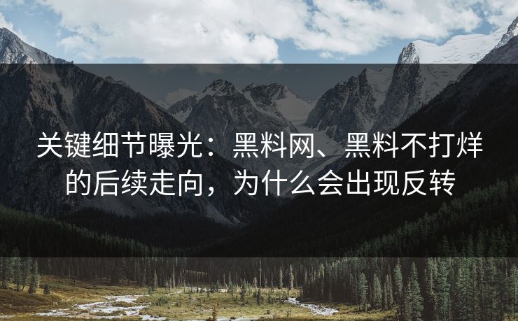关键细节曝光：黑料网、黑料不打烊的后续走向，为什么会出现反转