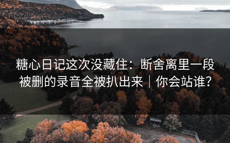 糖心日记这次没藏住：断舍离里一段被删的录音全被扒出来｜你会站谁？