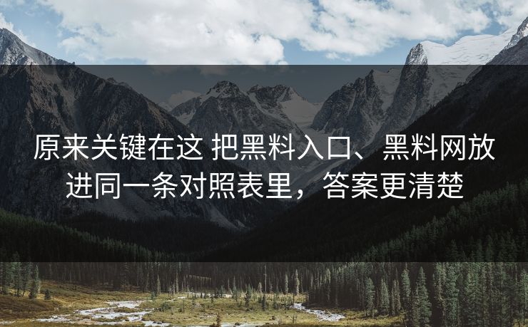 原来关键在这 把黑料入口、黑料网放进同一条对照表里，答案更清楚