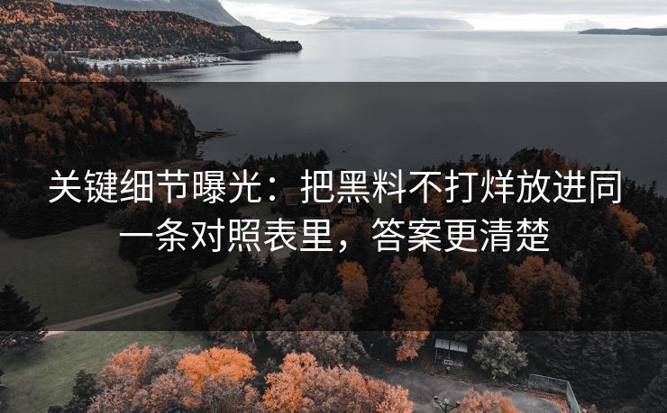 关键细节曝光：把黑料不打烊放进同一条对照表里，答案更清楚