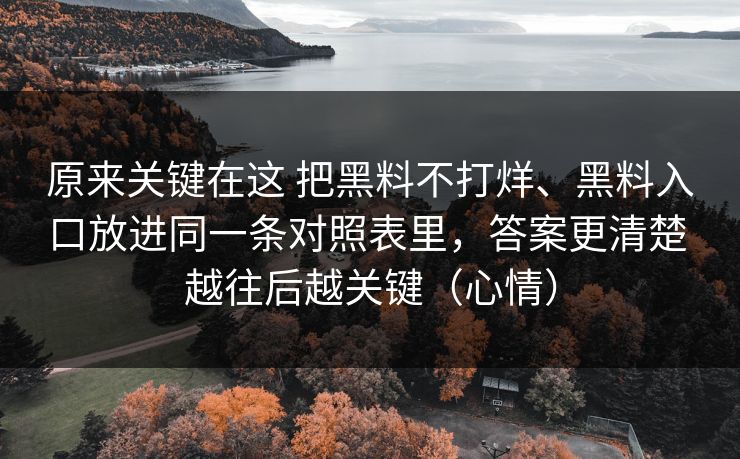 原来关键在这 把黑料不打烊、黑料入口放进同一条对照表里，答案更清楚 越往后越关键（心情）