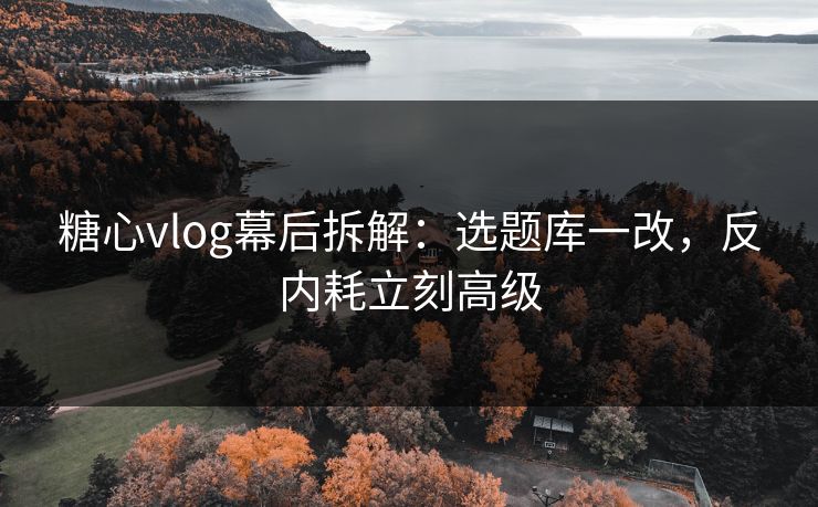 糖心vlog幕后拆解：选题库一改，反内耗立刻高级