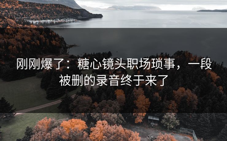 刚刚爆了：糖心镜头职场琐事，一段被删的录音终于来了