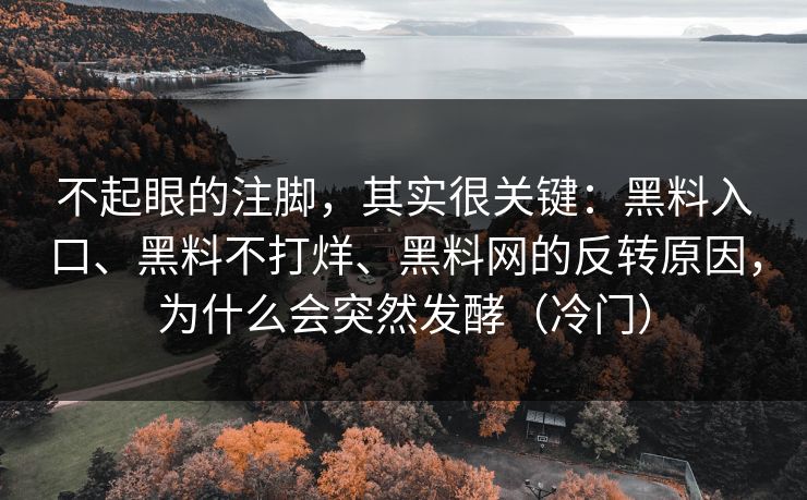 不起眼的注脚，其实很关键：黑料入口、黑料不打烊、黑料网的反转原因，为什么会突然发酵（冷门）