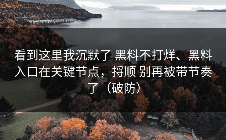 看到这里我沉默了 黑料不打烊、黑料入口在关键节点，捋顺 别再被带节奏了（破防）